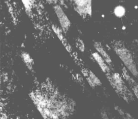 97人妻碰碰碰久久久久禁片