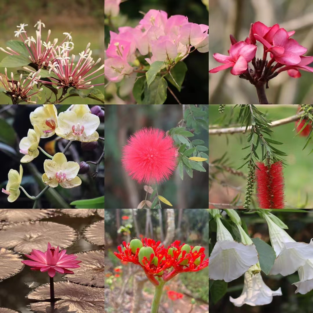 97人妻碰碰碰久久久久禁片