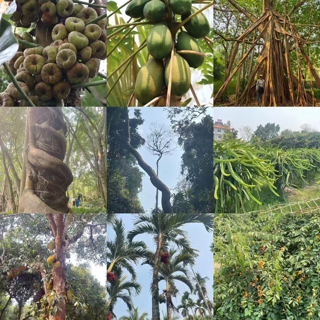 97人妻碰碰碰久久久久禁片