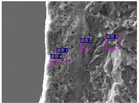 97人妻碰碰碰久久久久禁片