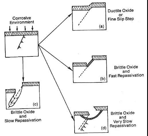 97人妻碰碰碰久久久久禁片